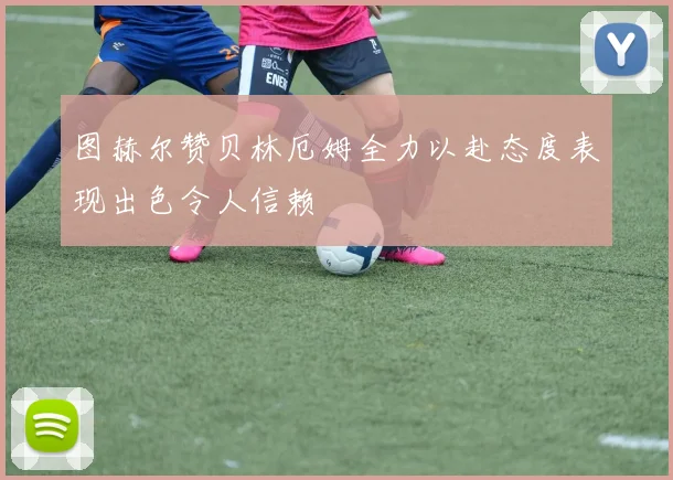 图赫尔赞贝林厄姆全力以赴态度表现出色令人信赖